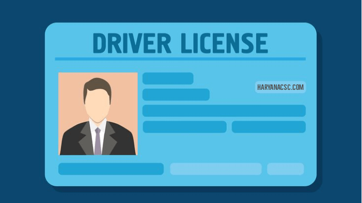 Driving Licence Kaise Check Kare 2023